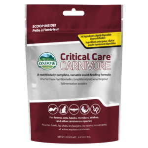Critical Care Carnivore